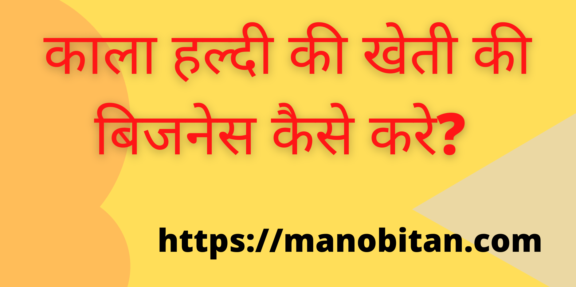 You are currently viewing काला हल्दी की खेती की बिजनेस कैसे करे? | How  Start Black Turmeric  Farming Business in Hindi?