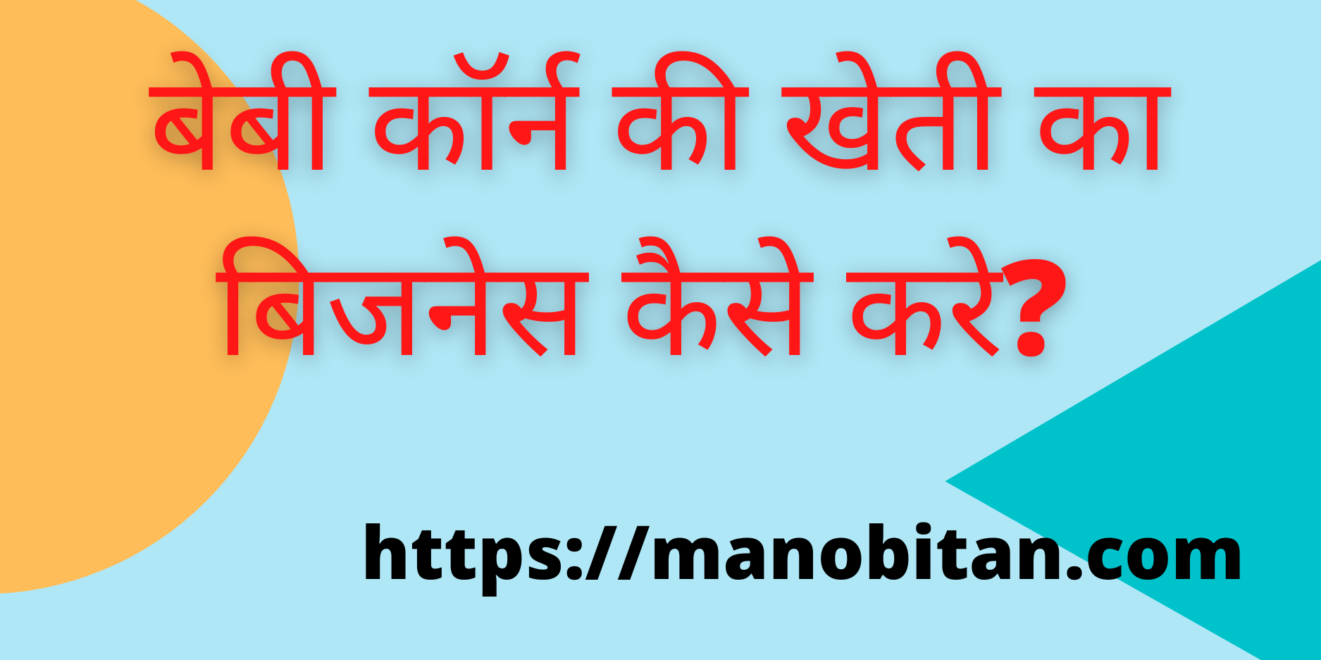 Read more about the article बेबी कॉर्न की खेती का बिजनेस कैसे करे? | How  Start Baby Corn Farming Business in Hindi?