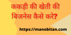 Read more about the article ककड़ी की खेती की बिजनेस कैसे करे? (How  Start American Cucumber Farming Business in Hindi?)