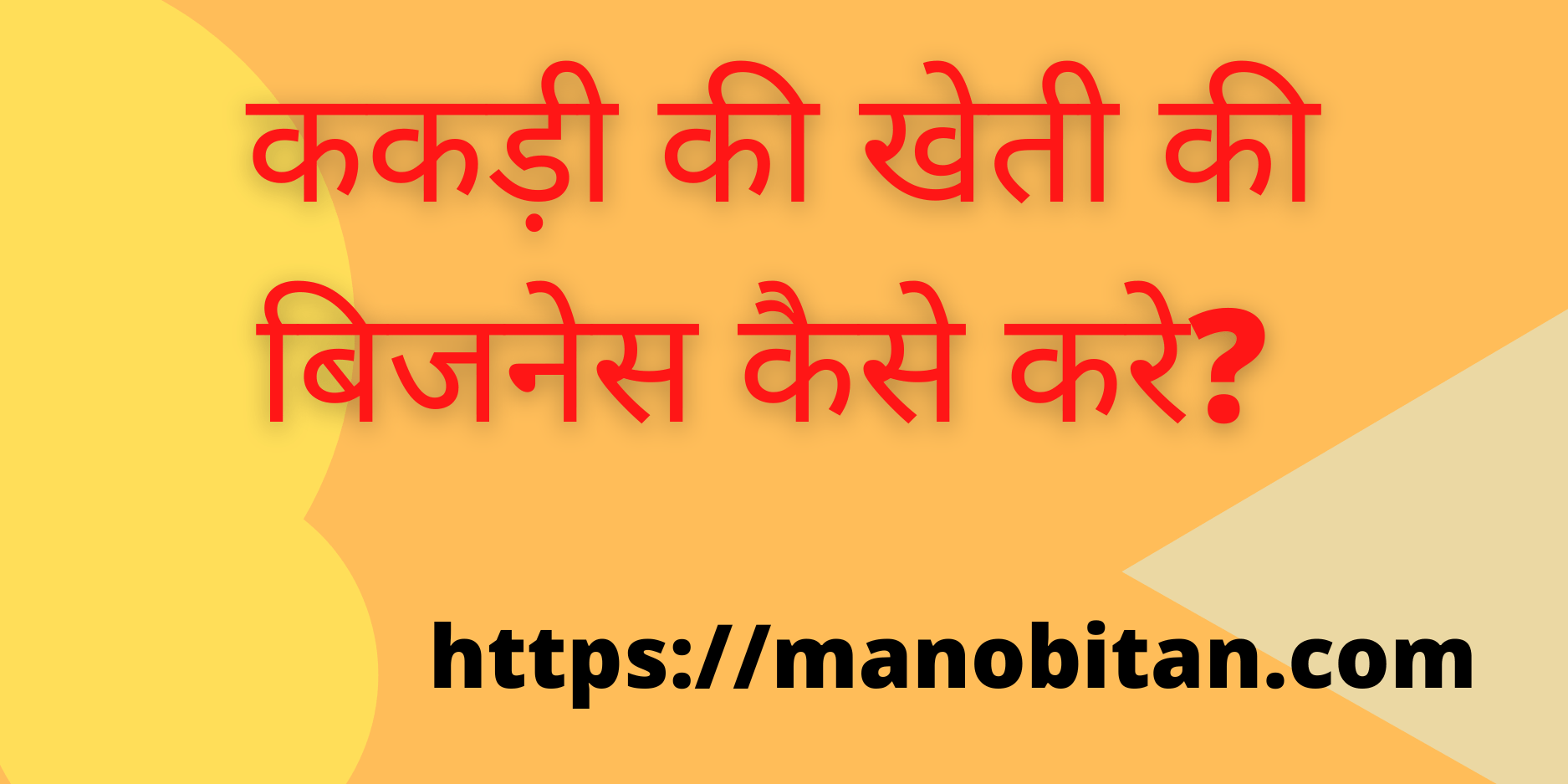 You are currently viewing ककड़ी की खेती की बिजनेस कैसे करे? (How  Start American Cucumber Farming Business in Hindi?)