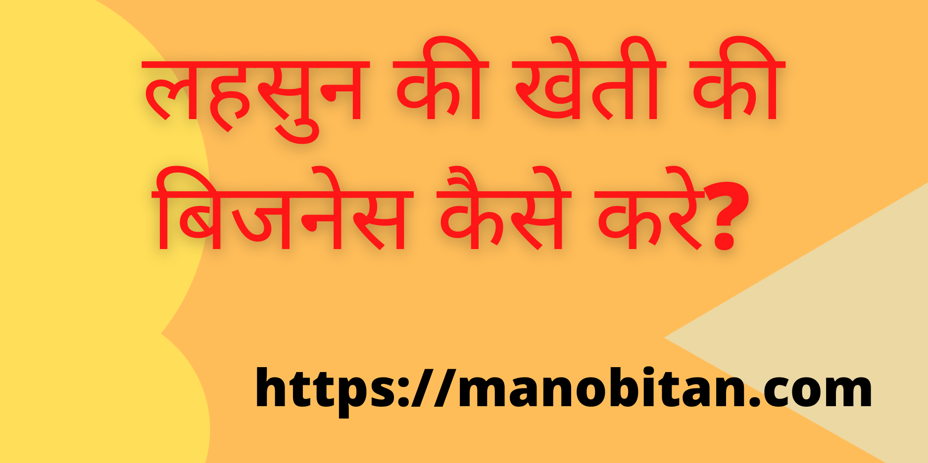 You are currently viewing लहसुन की खेती की बिजनेस कैसे करे? -2021  | How  Start Garlic  Farming Business in Hindi?