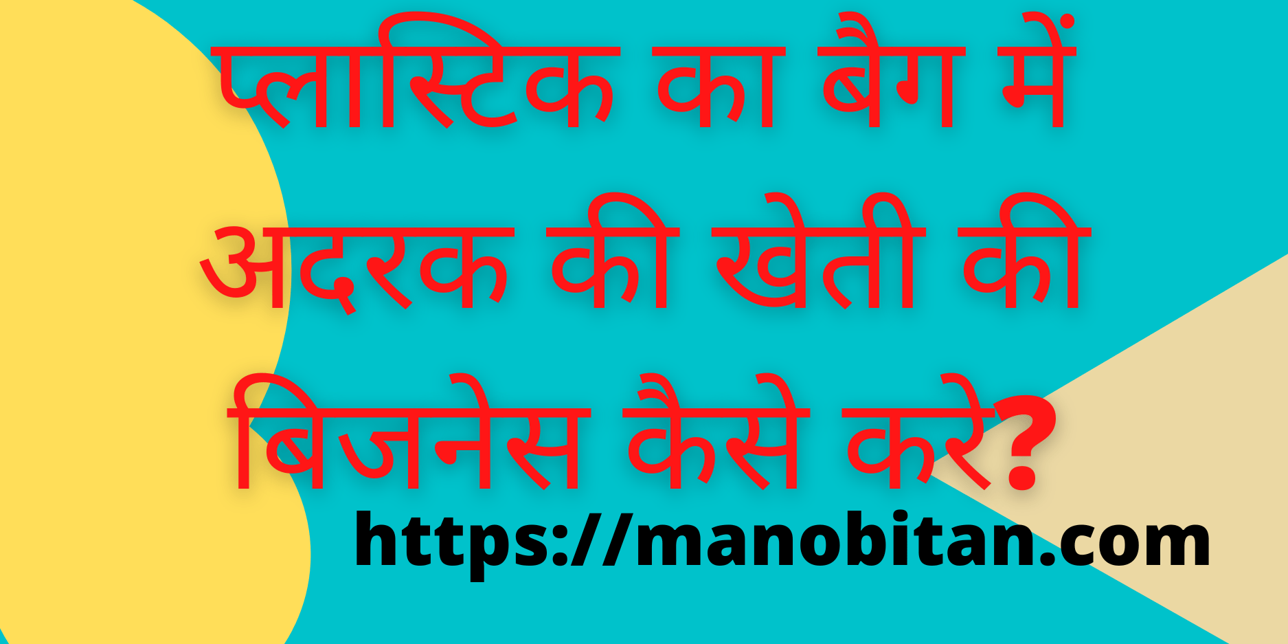 Read more about the article प्लास्टिक का बैग में अदरक की खेती की बिजनेस कैसे करे? | How Start in Plastic Bags Ginger Farming Business in Hindi?