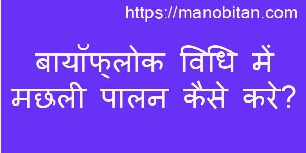 You are currently viewing बायोफ्लॉक विधि में मछली पालन कैसे करे? 2022 | Fish farming in Biofloc method in Hindi? 2022