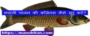 Read more about the article मछली पालन की बिज़नस कैसे सुरु करे? 2022 | How to start fish farming business in hindi?