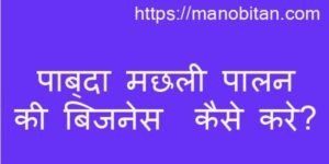 Read more about the article पाबदा मछली पालन का बिजनेस कैसे करे? | Pabda fish farming business in Hindi?