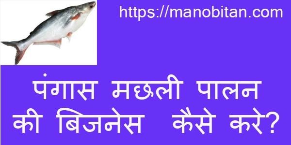 Read more about the article पंगास मछली पालन की बिजनेस कैसे करे? | Pangas fish farming business in Hindi?