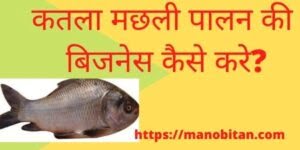 Read more about the article कतला मछली पालन की बिजनेस कैसे करे? 2022 | Catla fish farming business in Hindi?