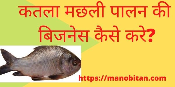 You are currently viewing कतला मछली पालन की बिजनेस कैसे करे? 2022 | Catla fish farming business in Hindi?