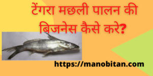 Read more about the article टेंगरा मछली पालन की बिजनेस कैसे करे? 2020 | Tengra fish farming business in Hindi?