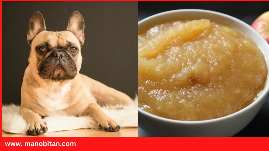 Can French Bulldogs Eat Applesauce with Cinnamon?