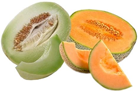 Can Frenchies Eat Honeydew Melon | Can French Bulldogs Eat Honeydew Melon (Dogs)