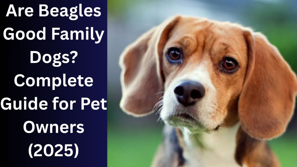 Are Beagles Good Family Dogs? Complete Guide for Pet Owners (2025)