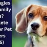 Are Beagles Good Family Dogs? Complete Guide for Pet Owners (2025)
